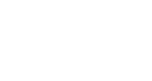bravo-slider